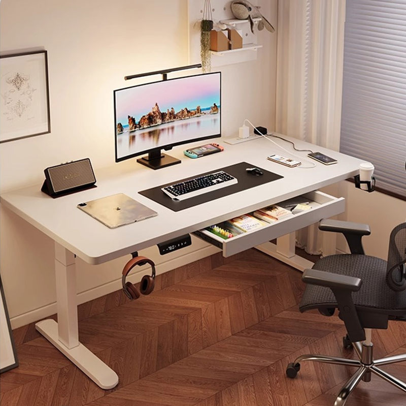 Modern Iron Dual Motor Electri – Desk Setup Home Office Bewertung und Preis