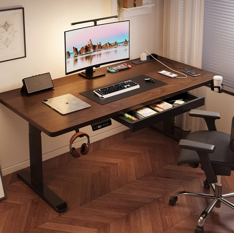 Modern Iron Dual Motor Electri – Desk Setup Home Office Bewertung und Preis