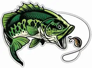 Perch Fishing Stickers Window  – Desk Setup Laptop Bewertung und Preis